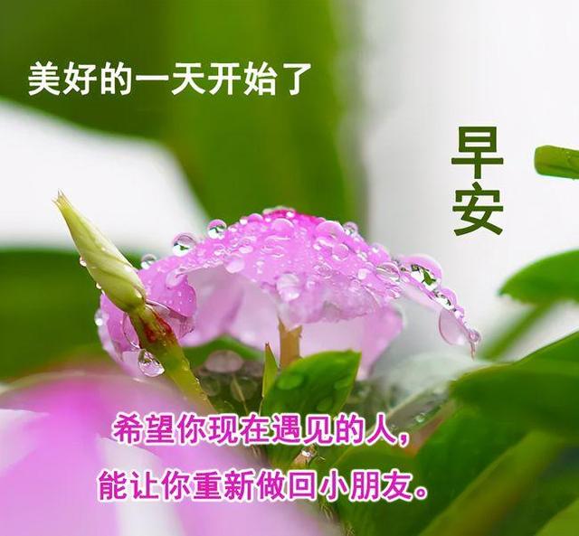 每日晨语短句